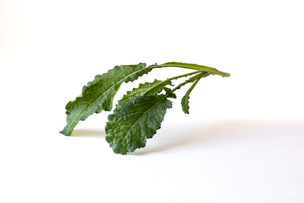 Cavolo Nero