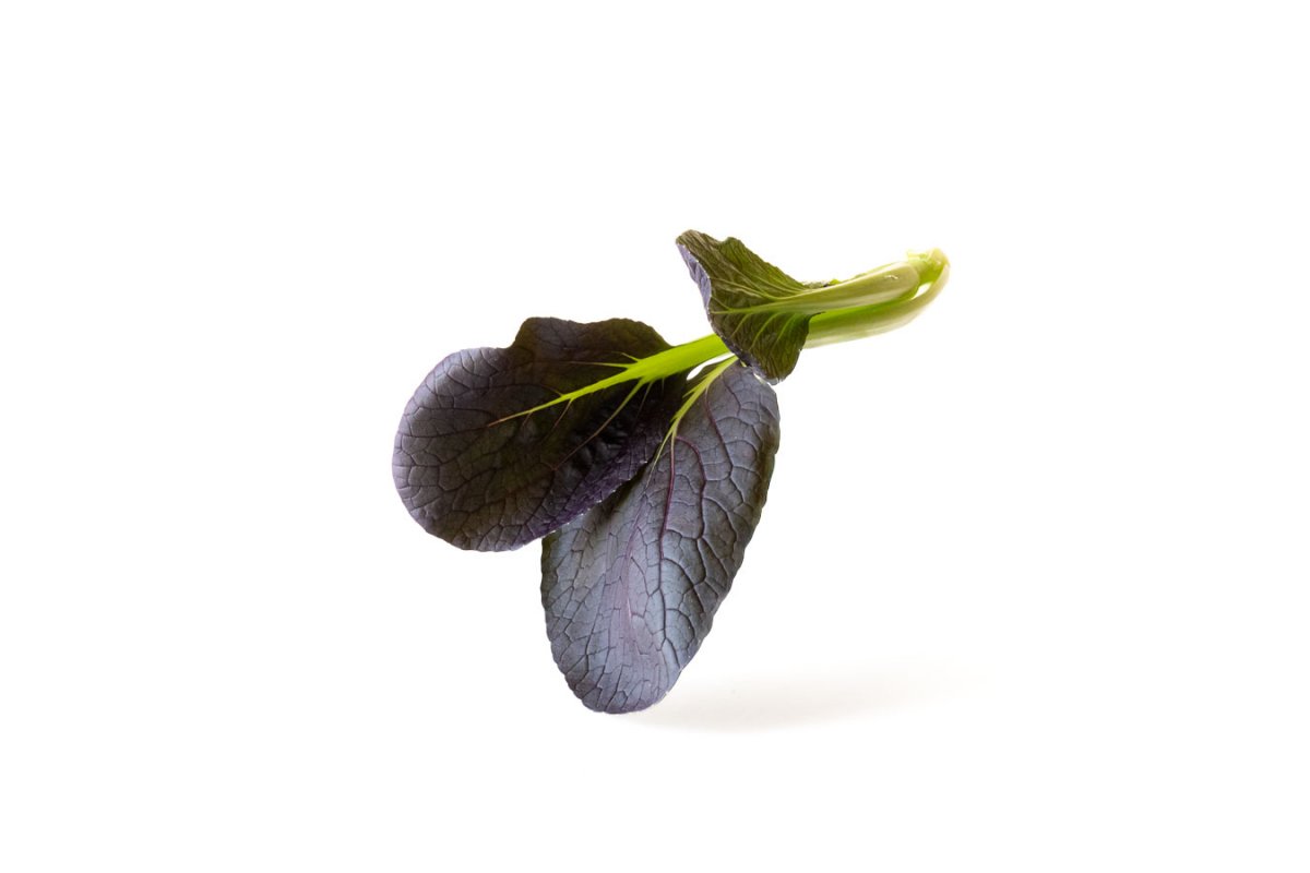 Pak Choi Rosso